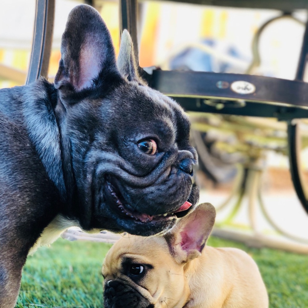 Meet your Posher, Rick